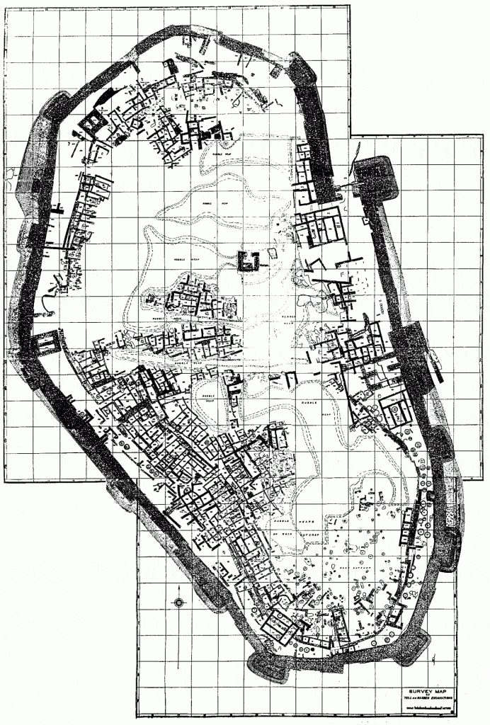 Composite general plan of Tell en-Nasbeh showing architecture of mainly Strata 3 and 2